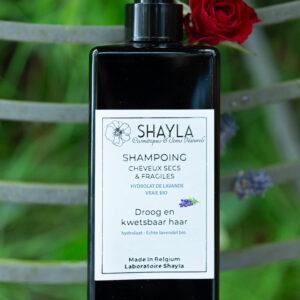 SHAMOOING-BELGE-SHAYLA-HYDROLAT-LAVAND-EVRAIE-BIO-