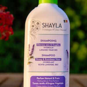 Shampoing Cheveux Secs et Fragilisés à l'Hydrolat de Lavande Vraie Bio