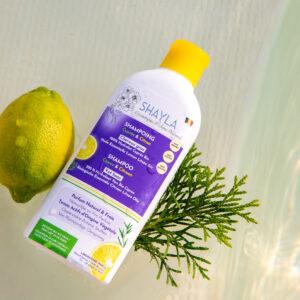 shampoing naturel shayla _cheveux gras - Belge - hydrolat Cypres - laboratoire shayla.jpg