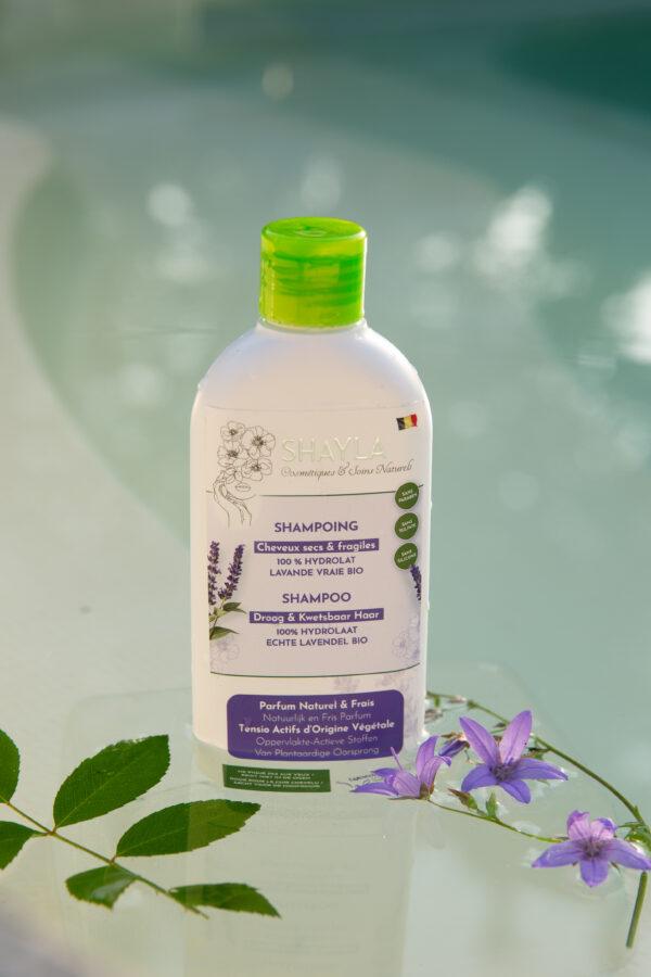 shampoing-naturel-shayla-_cheveux-secs-et-fragile-Belge-hydrolat-lavande-vraile-bio-laboratoire-shayla.jpg-scaled.jpg